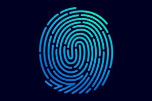 fingerprint maze