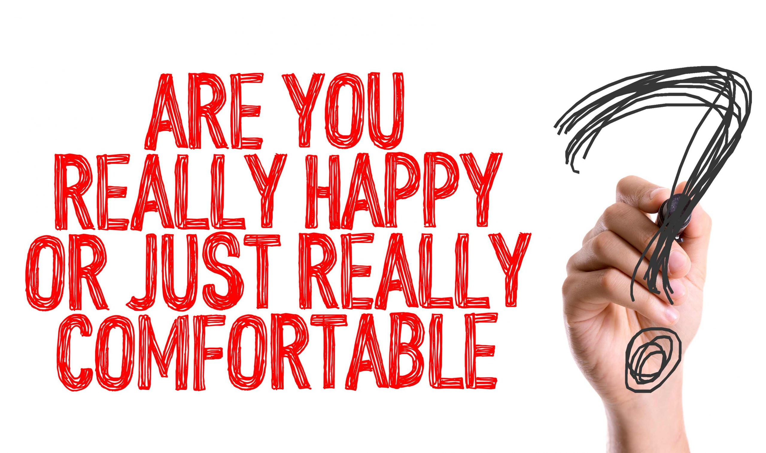 Are you really happy or just really comfortable?